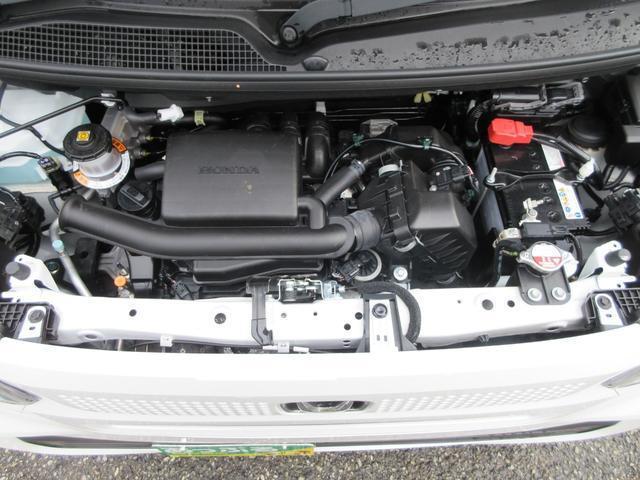 20107416_carP_l_12.jpg