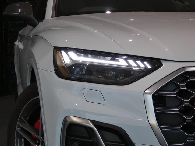 20502056_carP_l_15.jpg