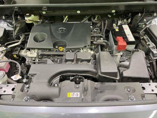 21984852_carP_l_16.jpg