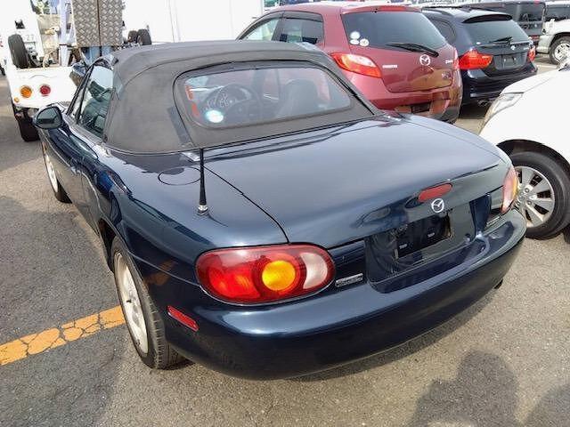 23125359_carP_l_3.jpg
