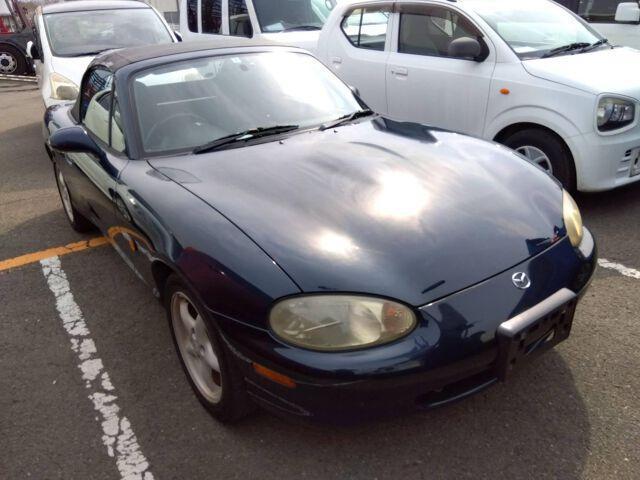 23125359_carP_l_4.jpg