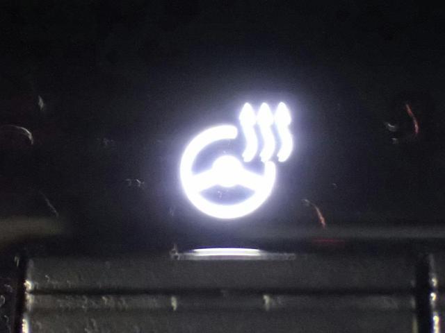 0206389A30251121W00119.jpg