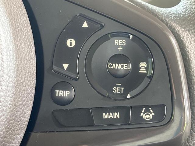 21325512_carP_l_4.jpg