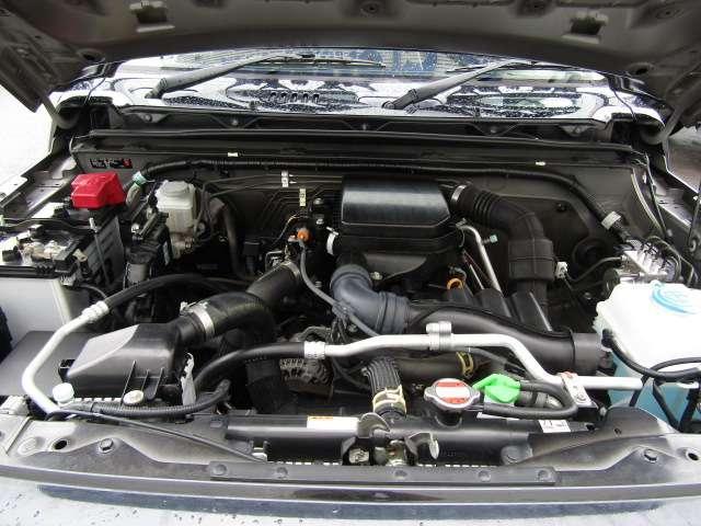 23127110_carP_l_9.jpg