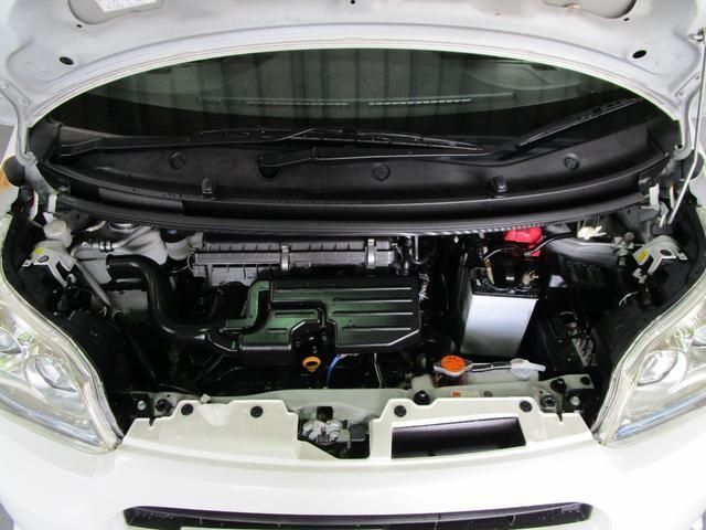 15680006_carP_l_4.jpg