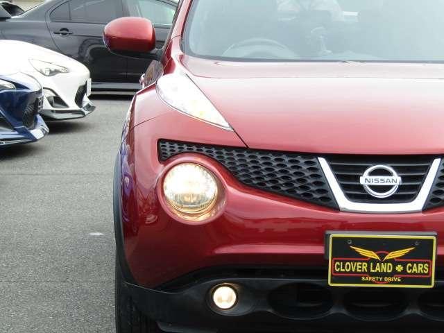 20371911_carP_l_9.jpg