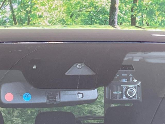 21928479_carP_l_10.jpg