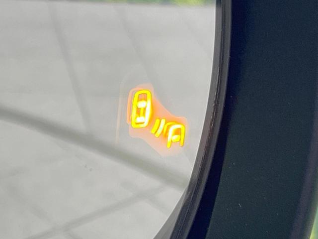 21909858_carP_l_10.jpg