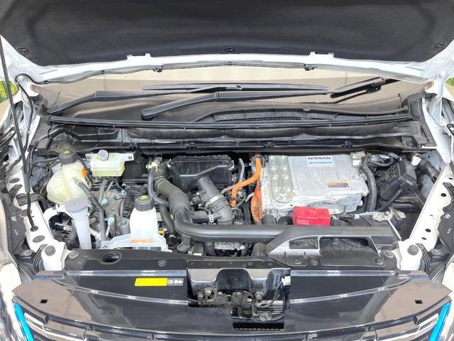 21708272_carP_l_16.jpg