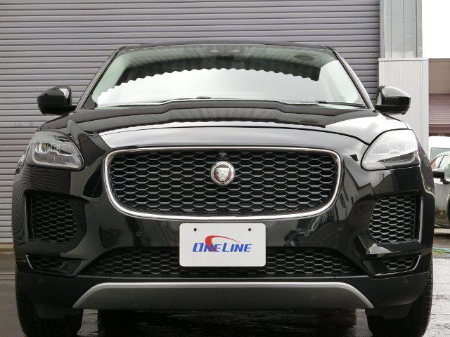 292dccd9408cf8bec2edc81ddd4f8eb1.jpg