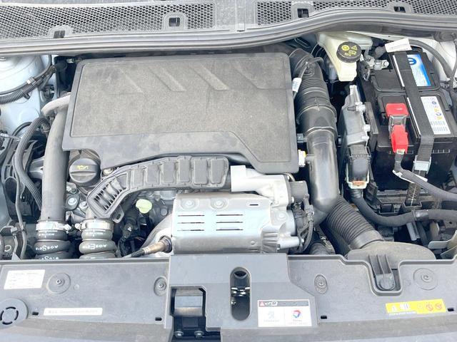 22353401_carP_l_18.jpg