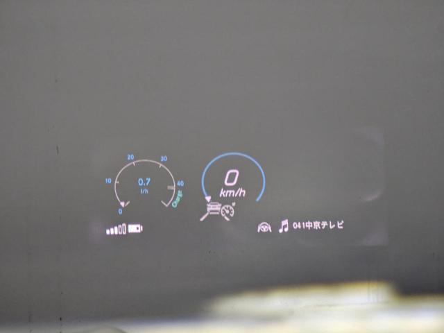 21867508_carP_l_6.jpg