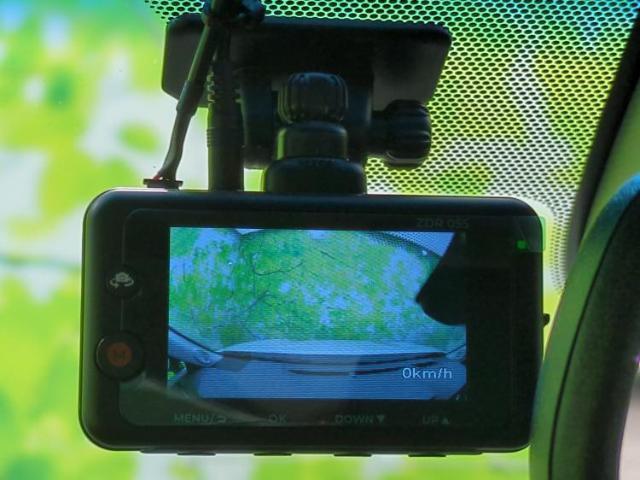 20439636_carP_l_6.jpg