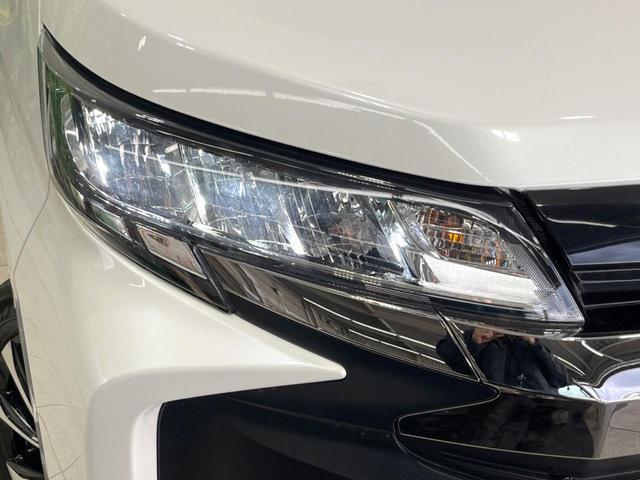 23130353_carP_l_7.jpg