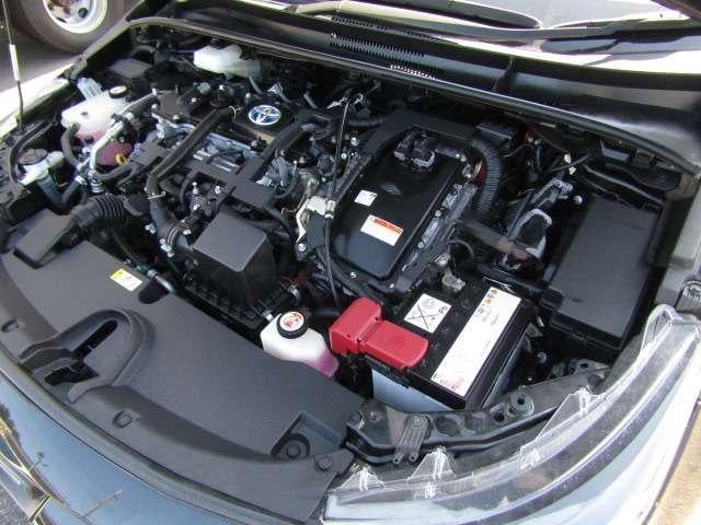 18828449_carP_l_11.jpg