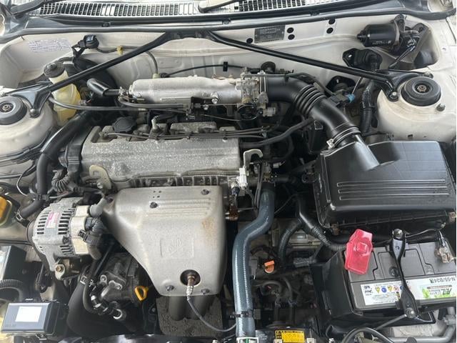 0561562A30250420W00115.jpg