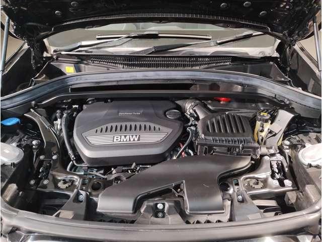21249293_carP_l_11.jpg