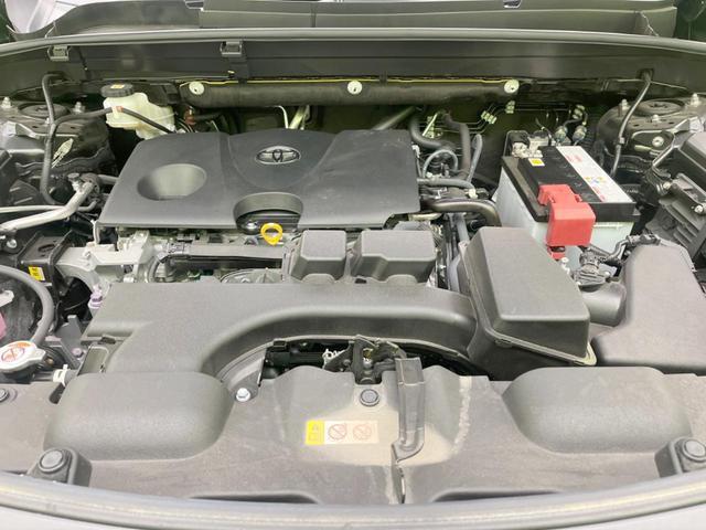 22039697_carP_l_16.jpg