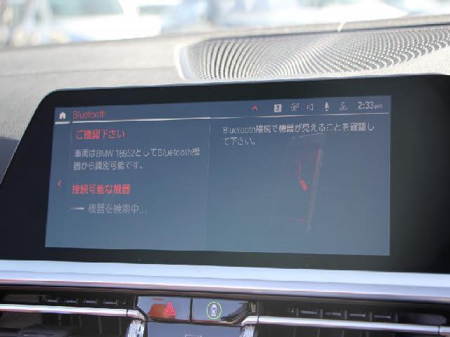 22449456_carP_l_10.jpg