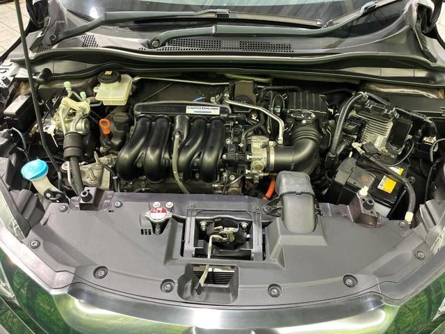 17980638_carP_l_16.jpg