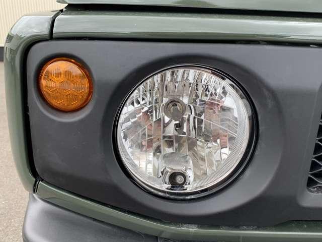 21859993_carP_l_7.jpg