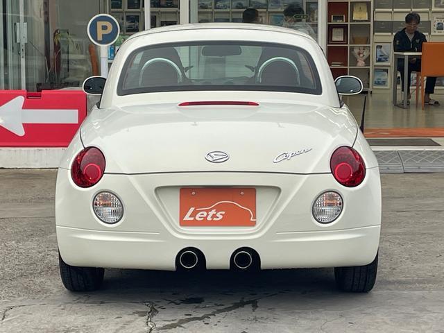 23206584_carP_l_15.jpg