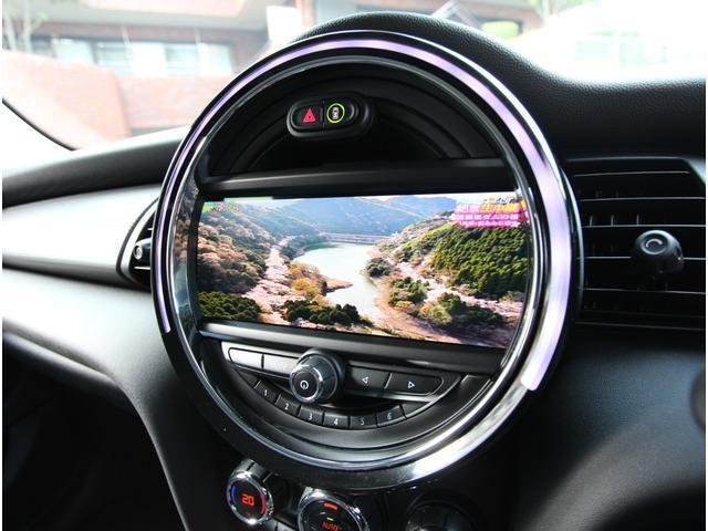 23130992_carP_l_12.jpg
