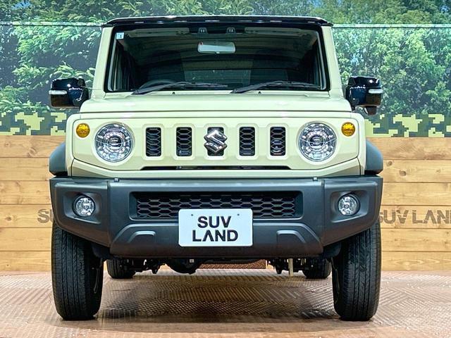 22467955_carP_l_8.jpg