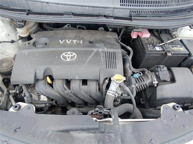 08.jpg