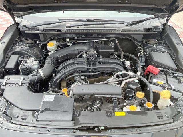 22915247_carP_l_16.jpg