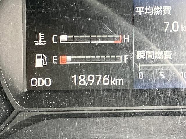 17550718_carP_l_12.jpg