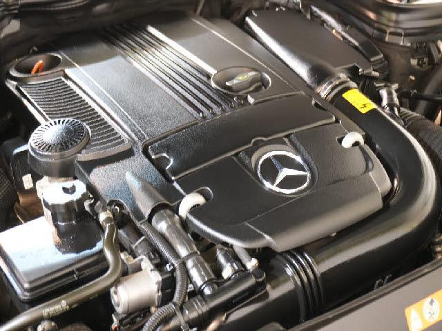21237309_carP_l_2.jpg