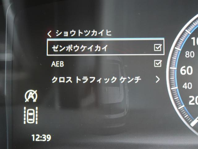 22261402_carP_l_5.jpg