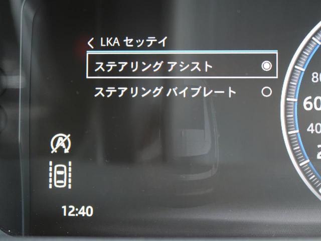 22261402_carP_l_6.jpg