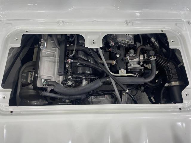 23169814_carP_l_11.jpg