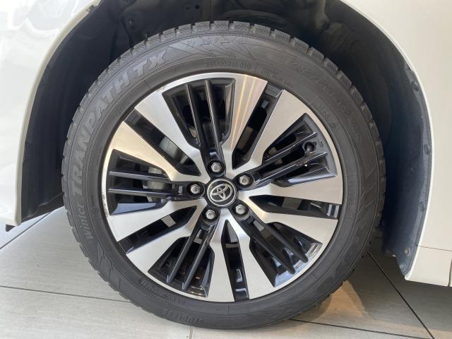 21966833_carP_l_19.jpg