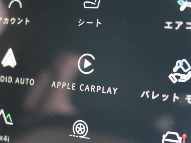 19676174_carP_l_12.jpg