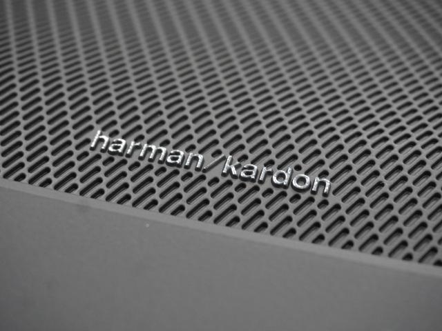 21740034_carP_l_6.jpg