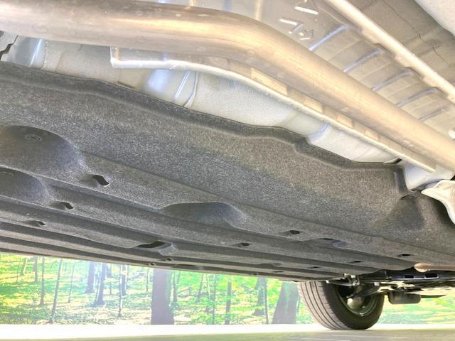 22487398_carP_l_20.jpg