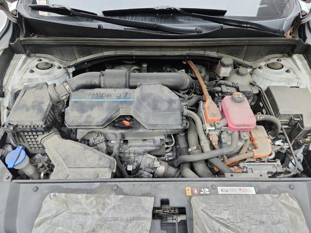 lotterental_144131399_wxvRR_3.jpg