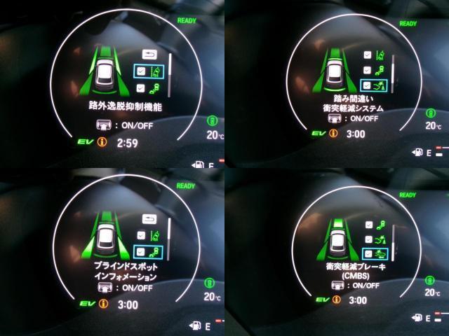23306284_carP_l_8.jpg