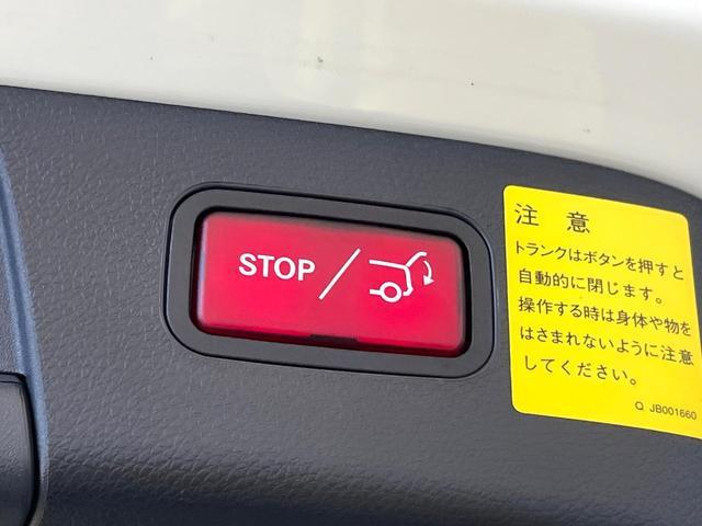 20887539_carP_l_17.jpg