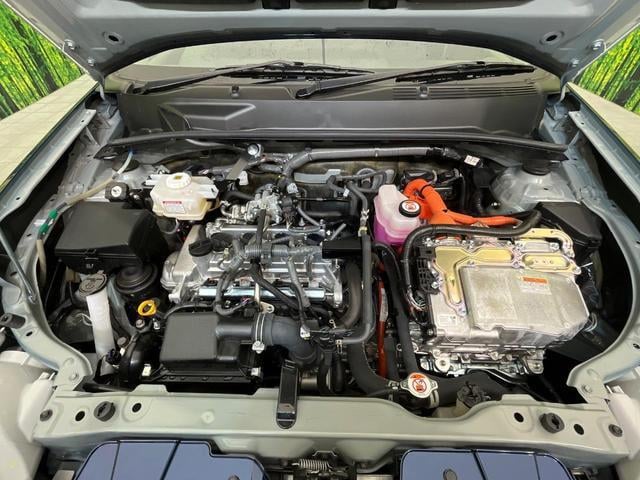 19552474_carP_l_16.jpg