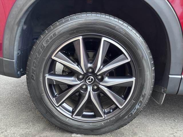 a497aec8d1ea5d6dbe56a38395533c55.jpg