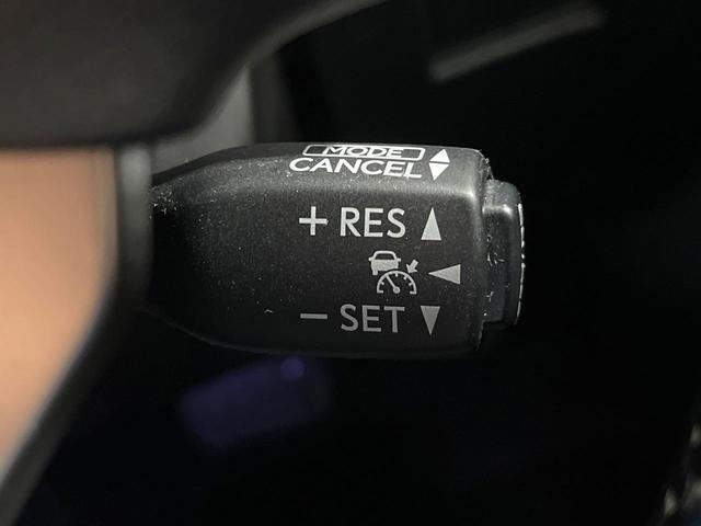 21619342_carP_l_14.jpg