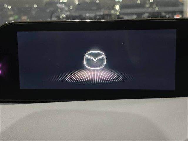 cf0a3d7af9799a452e9cf138669d09f0.jpg