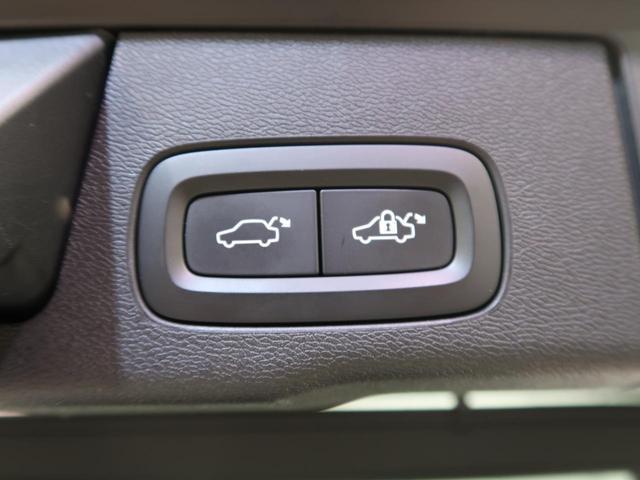 23207324_carP_l_11.jpg