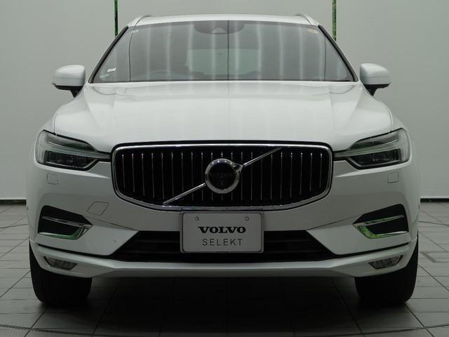 23207324_carP_l_18.jpg