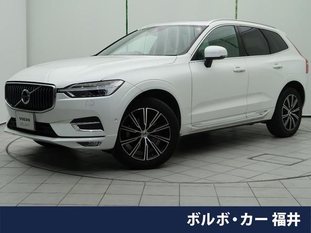 23207324_carP_l_1.jpg