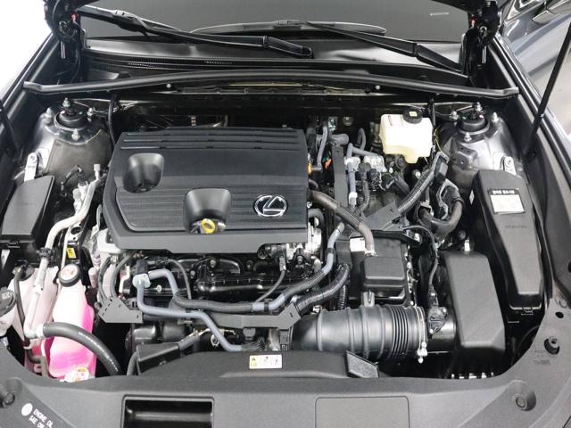0c59d529efadf030071daa9f587a69f0.jpeg